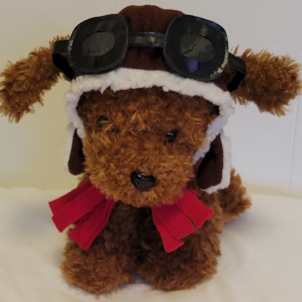 ❣️HP❣️Aviator pilot dog costume. Sz: S